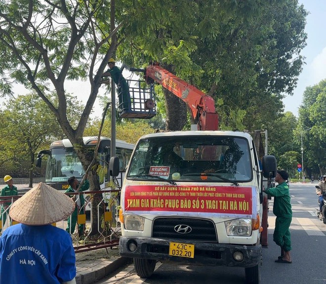 Sẵn sàng tăng ca làm đêm, hỗ trợ Hà Nội giải tỏa cây xanh ngã đổ, đảm bảo giao thông sau bão số 3 - Ảnh 11.