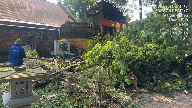 Sẵn sàng tăng ca làm đêm, hỗ trợ Hà Nội giải tỏa cây xanh ngã đổ, đảm bảo giao thông sau bão số 3 - Ảnh 3.