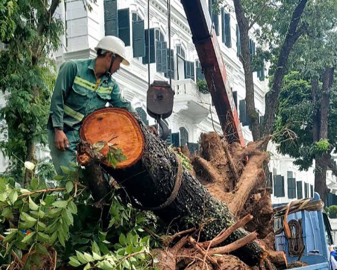 Sẵn sàng tăng ca làm đêm, hỗ trợ Hà Nội giải tỏa cây xanh ngã đổ, đảm bảo giao thông sau bão số 3 - Ảnh 12.