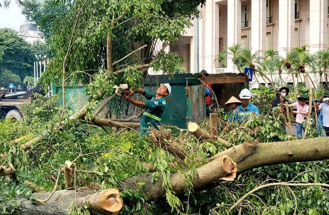 Sẵn sàng tăng ca làm đêm, hỗ trợ Hà Nội giải tỏa cây xanh ngã đổ, đảm bảo giao thông sau bão số 3 - Ảnh 13.