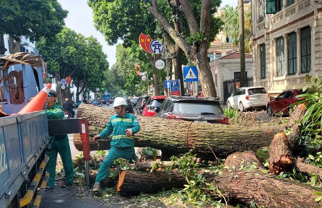 Sẵn sàng tăng ca làm đêm, hỗ trợ Hà Nội giải tỏa cây xanh ngã đổ, đảm bảo giao thông sau bão số 3 - Ảnh 15.