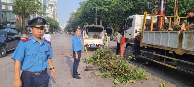 Hà Nội huy động tổng lực dọn dẹp đường phố sau bão số 3- Ảnh 3.