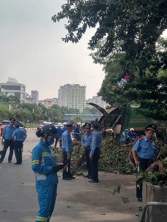 Hà Nội huy động tổng lực dọn dẹp đường phố sau bão số 3- Ảnh 1.