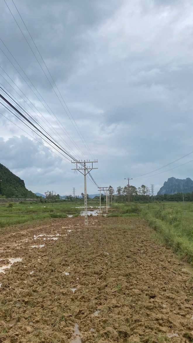 Công ty CP TTTH đường sắt Vinh: Chủ động, nỗ lực giữ vững thông tin liên lạc đường sắt trong mọi tình huống thiên tai - Ảnh 5.