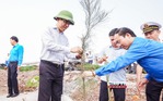 Tuổi trẻ ngành GTVT trồng cây xanh, xây nhà nhân ái ở Nam Định