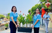 Phụ nữ Đà Nẵng chung sức bảo vệ môi trường, an toàn hành lang đường sắt