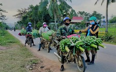 Quảng Trị: Đào tạo bằng lái xe A1 cho đồng bào không biết tiếng Việt