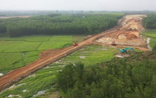 Làm rõ việc giải phóng đất rừng làm đường công vụ thi công cao tốc Quảng Ngãi - Hoài Nhơn