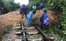 Cần sớm khắc phục các điểm xung yếu khu gian Thanh Luyện - Chu Lễ trên tuyến đường sắt Hà Nội - TP. HCM