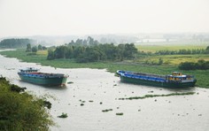 Vẫn đang tìm kiếm người mất tích trên sông Vàm Cỏ Đông