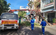 Xuyên ngày đêm giải toả cây đổ, đảm bảo giao thông ở tâm bão số 13