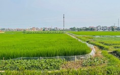 Hoàn thành bàn giao 441 mốc giới dự án đường sắt Lào Cai - Hà Nội - Hải Phòng qua Hải Dương