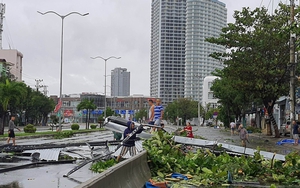 Ghi ở tâm bão Đà Nẵng-Quảng Nam: Cây xanh ngã đổ la liệt, gây ách tắc giao thông