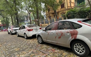 Hà Nội: 4 đối tượng tạt sơn ôtô của người dân ở khu đô thị Định Công khai gì?