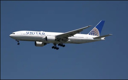 Mỹ: Rắn xuất hiện trên khoang thương gia của United Airlines