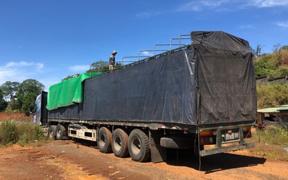 CSGT Đắk Nông "đón lõng" xử lý xe quá tải trên đường Hồ Chí Minh