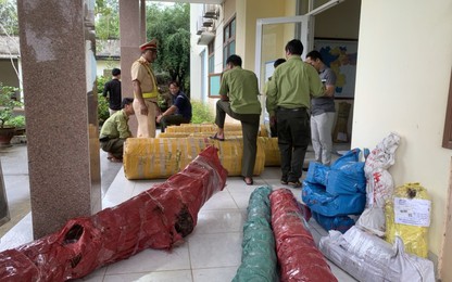 CSGT Quảng Nam bắt giữ xe tải chở nhiều loại gỗ quý hiếm