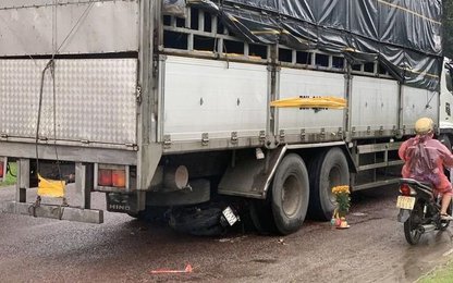 Phú Yên: Xe tải dừng đột ngột và lùi lại, 3 người đi xe máy tử vong thương tâm