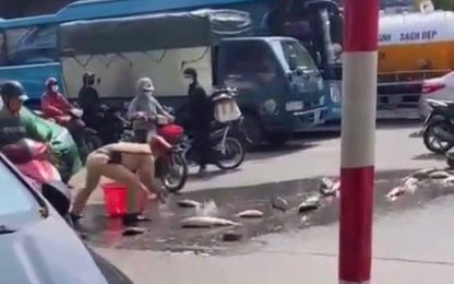 Video: Thiếu tá CSGT Hà Nội nhanh tay giúp dân nhặt hơn tạ cá bị đổ ra đường