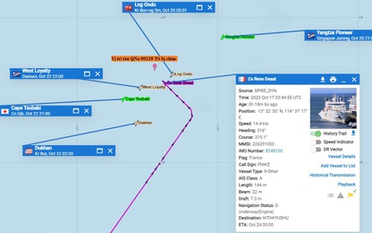 Hai tàu cá Quảng Nam chìm trên biển: Huy động tối đa lực lượng tìm kiếm nhiều ngư dân mất tích