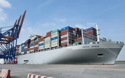 Các hãng tàu container áp dụng "chiến lược" cạnh tranh mới tại nhóm cảng nước sâu