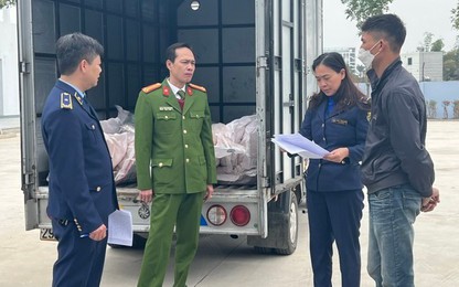 Hà Nội: Cảnh sát bắt ôtô tải vận chuyển 7 tấn nầm lợn bốc mùi tại huyện Chương Mỹ