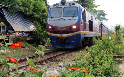 Cận cảnh "Đường tàu, đường hoa" khu vực ga Đà Nẵng