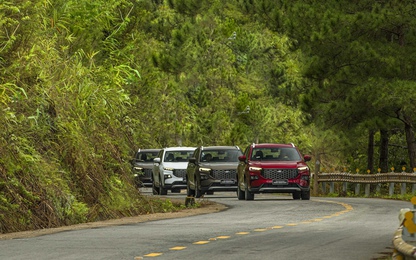 Bảng giá xe Ford tháng 8/2023: Territory và Everest tiếp tục hạ giá
