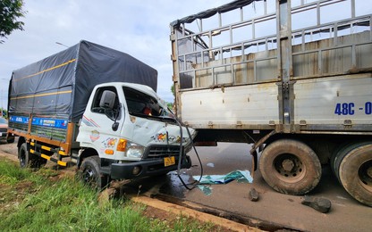 Đắk Lắk: Tránh ôtô con, hai xe tải tông nhau khiến tài xế mắc kẹt trong cabin