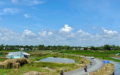 Tận thấy những cánh đồng lúa xanh mướt tại điểm thi công cát biển