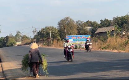 Lý do dự án nâng cấp Tỉnh lộ 1 ở ĐắK Lắk xin tạm dừng thi công!