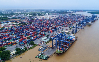 Gần 20 tấn cà phê, hồ tiêu nghi bị "rút ruột" tại cảng: Tân Cảng Sài Gòn lên tiếng