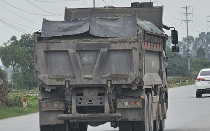 Hưng Yên: Xe ôtô tải "vô tư" chở vượt thùng, nối đuôi nhau chạy trên quốc lộ