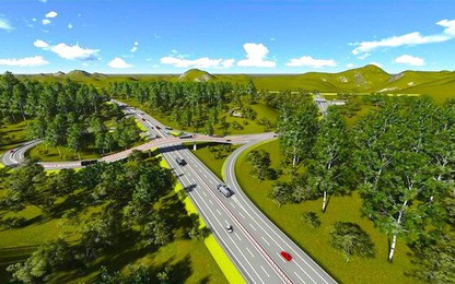 Triển khai đầu tư xây dựng cao tốc Quy Nhơn - Pleiku