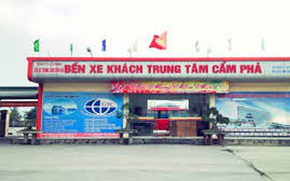 Quảng Ninh: Điều chỉnh hoạt động vận tải hành khách tại Bến xe Trung tâm Cẩm Phả 
