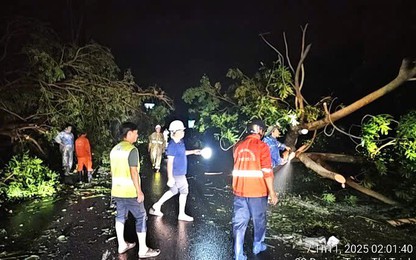 Video: Trắng đêm khắc phục hậu quả bão số 13, đảm bảo giao thông