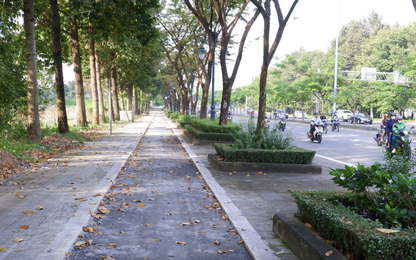 TP.HCM đưa vào khai thác làn đường cho xe đạp trên đường Mai Chí Thọ đầu năm 2026