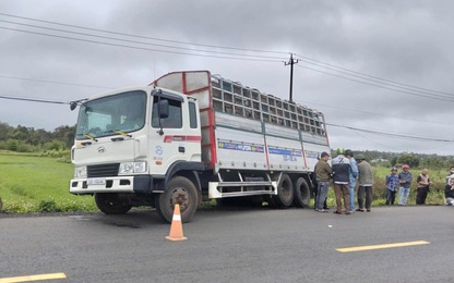 Đắk Lắk: Va chạm với ô tô tải, cụ ông 71 tuổi đi xe đạp tử vong thương tâm