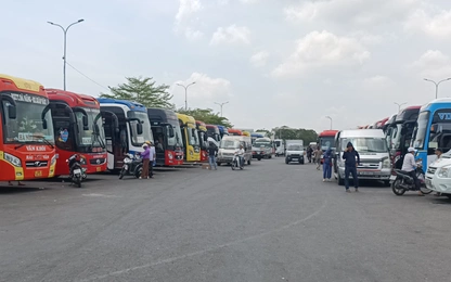Đà Nẵng thu hồi loạt phù hiệu phương tiện kinh doanh vận tải
