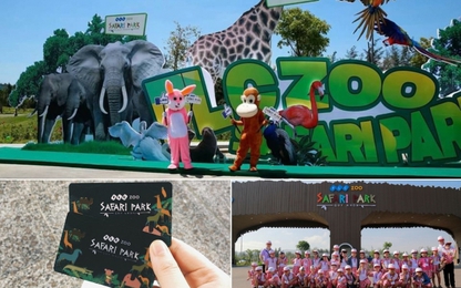 FLC Zoo Safari Park Quy Nhơn - Điểm đến không thể bỏ lỡ