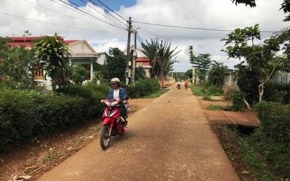 Đắk Lắk: Ép dân đóng tiền xây dựng đường giao thông nông thôn mới
