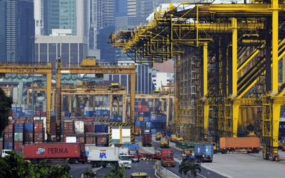 Công nghệ tạo bước đột phá trong điều hành cảng biển tại Singapore