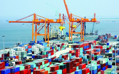 Phát triển dịch vụ hậu cần giải phóng hàng hóa tại cảng biển