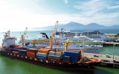 Cảng Đà Nẵng: Cầu nối trong phát triển kinh tế thương mại miền Trung và khu vực