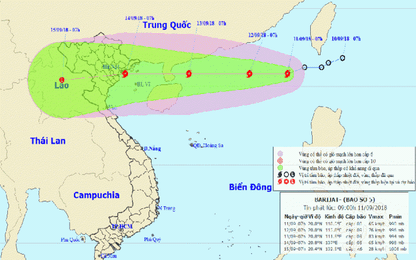 Cục Hàng Hải Việt Nam chủ động đối phó với áp thấp nhiệt đới