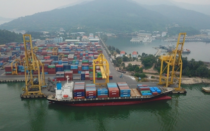Sản lượng hàng hóa thông qua cảng Đà Nẵng 6 tháng đầu tăng mạnh