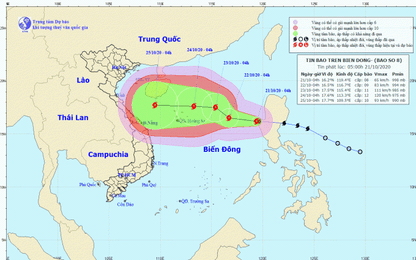 Ngành hàng hải Việt Nam chủ động ứng phó với bão số 8