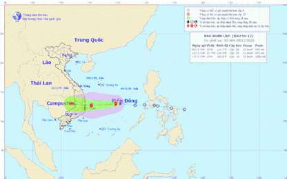 Hàng hải Việt Nam chủ động ứng phó với cơn bão số 12