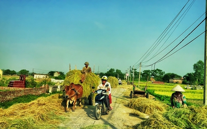 Ẩn họa TNGT trên các tuyến đường vào mùa gặt