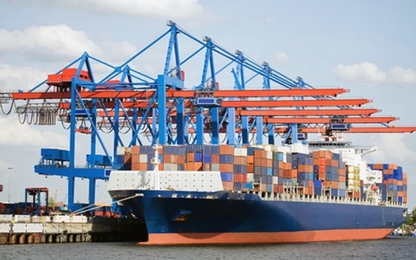 Sửa đổi Nghị định về giá cước vận tải biển, dịch vụ cảng